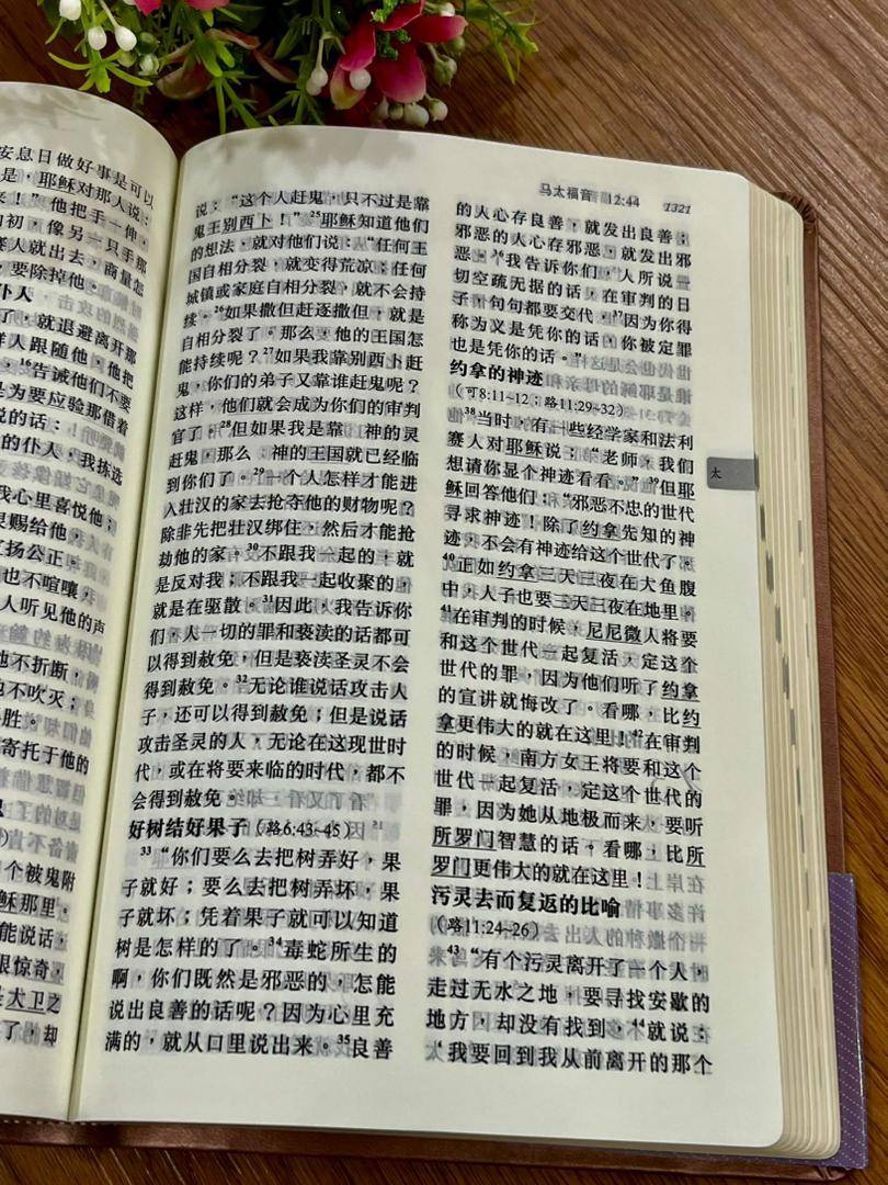 环球圣经译本：经文版．啡色俪皮金边（简体字） S49SS11J2