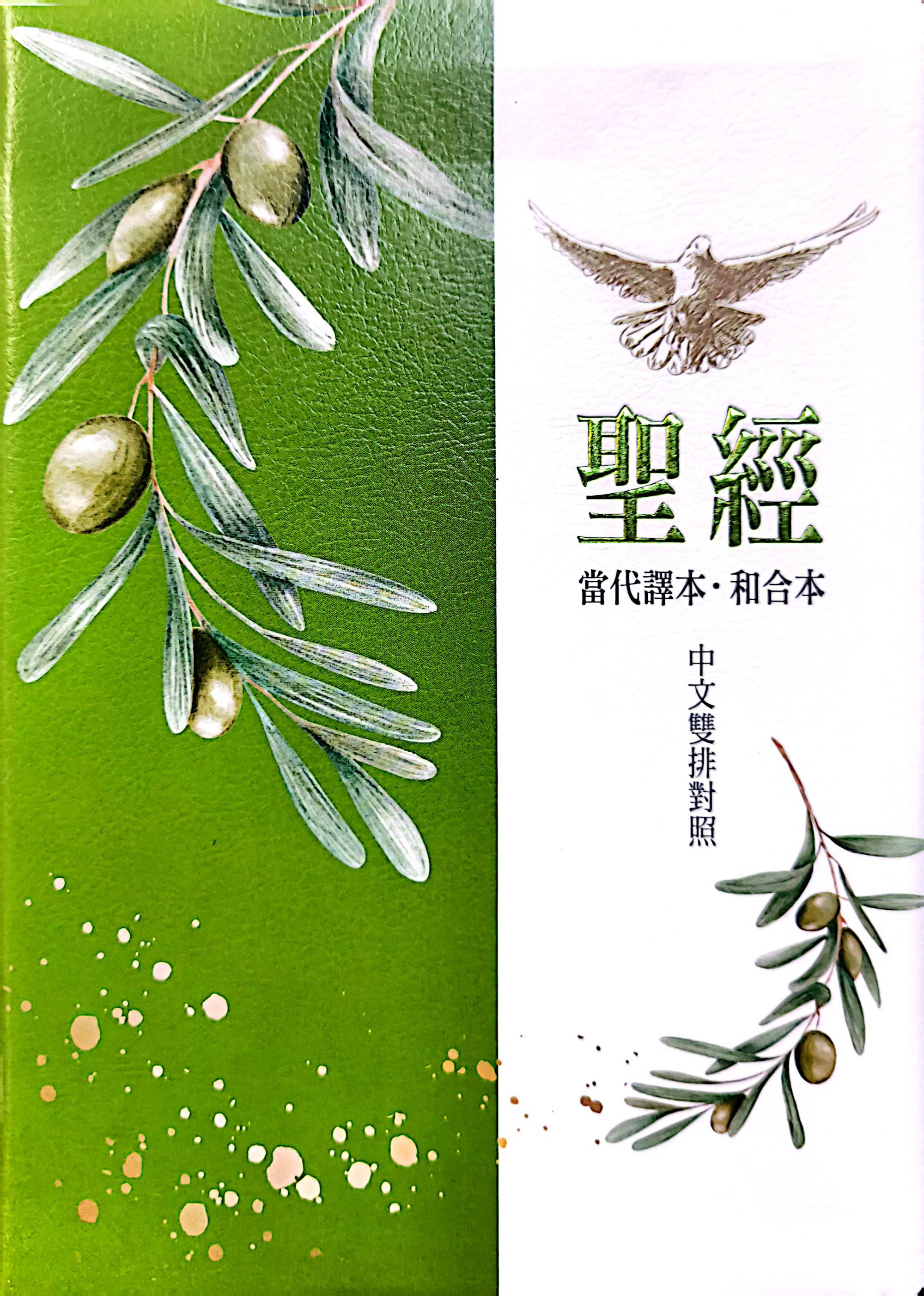 聖經：當代譯本(深藍花卉翻口彩繪仿皮索引精裝)/圣经：当代译本 （